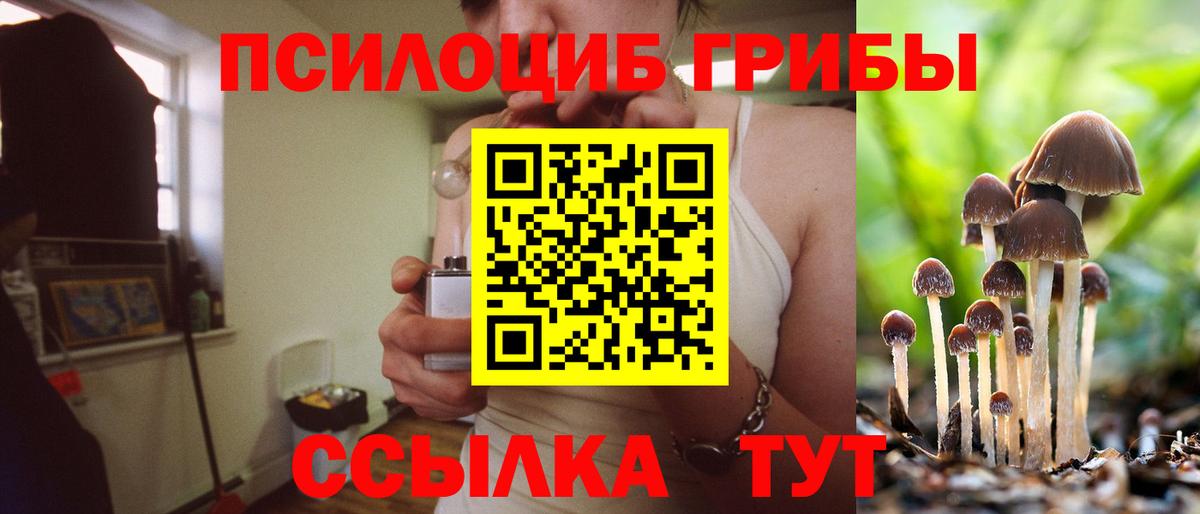 Псилоцибиновые грибы мухоморы Нижний Тагил