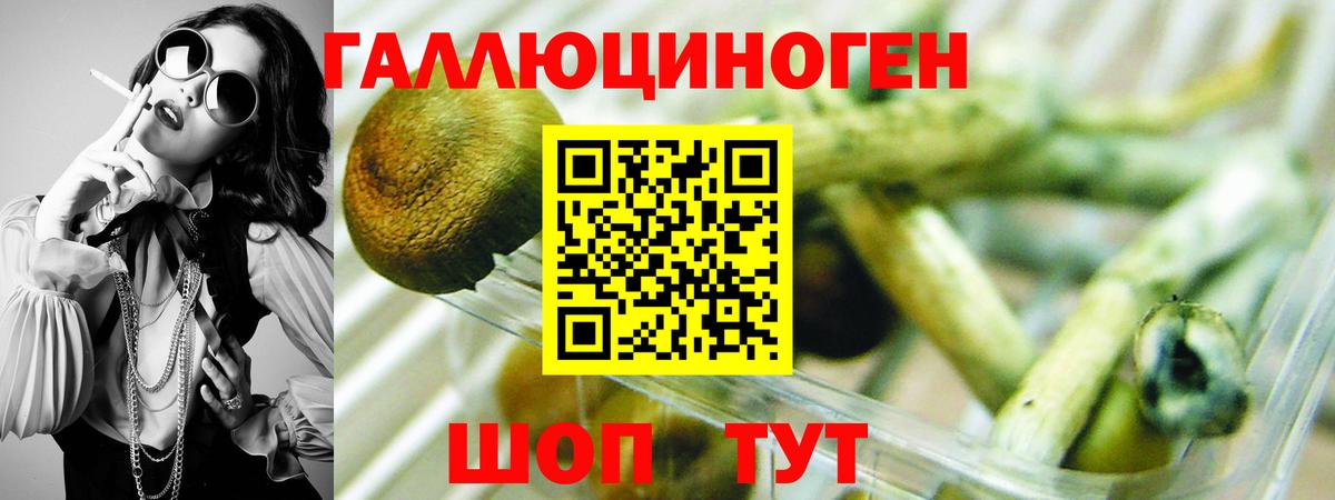 Нижний Тагил  Псилоцибиновые грибы ЛСД  Вход с VPN 